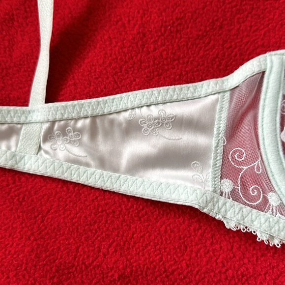 Simone Perele Wish Sheer Lace Demi Bra Robin’s Egg Blue Bridal Lingerie 34B Rare - Picture 10 of 13